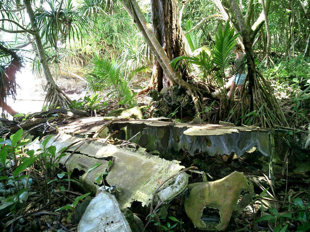 Palau Jim